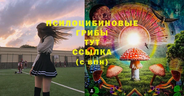 сатива Карпинск