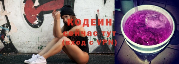 сатива Карпинск