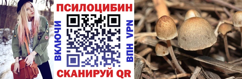 Псилоцибиновые грибы GOLDEN TEACHER  Купить закладки  Советский 