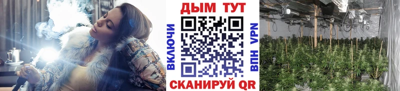 Каннабис марихуана  Купить где  Советский 