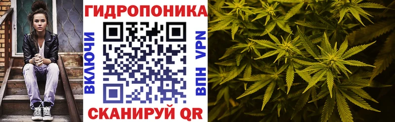 Бошки марихуана сатива Советский